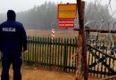 Na polskiej granicy zabili 240 migrantów? W masowych grobach kobiety i dzieci